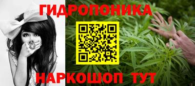 mdma Можга