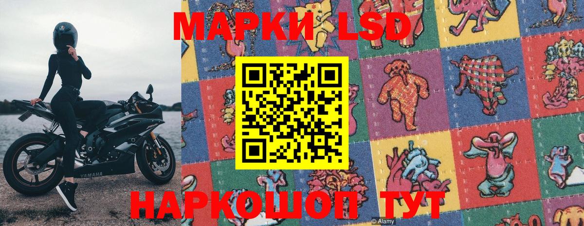 Марки N-bome 1500мкг  Вход с VPN  Элиста  Марки N-bome 1500мкг 