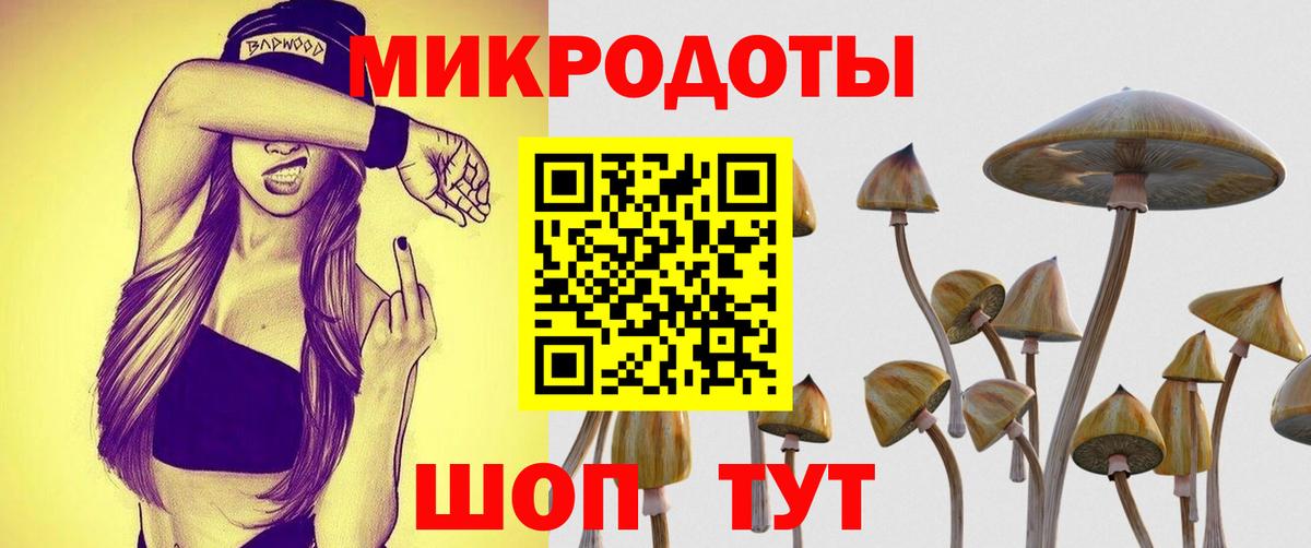 Галлюциногенные грибы ЛСД Элиста