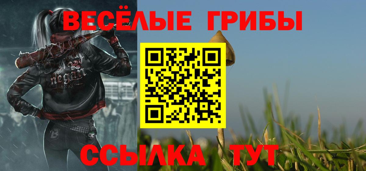Элиста  дарнет шоп  Вход с VPN  Галлюциногенные грибы Psilocybe  Псилоцибиновые грибы прущие грибы 